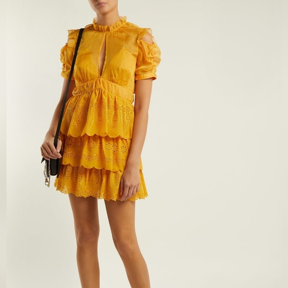 Self-Portrait NWOT Embroidered Chiffon Tiered Mini Dress In Gold Yellow Size 4 - Picture 2 of 16